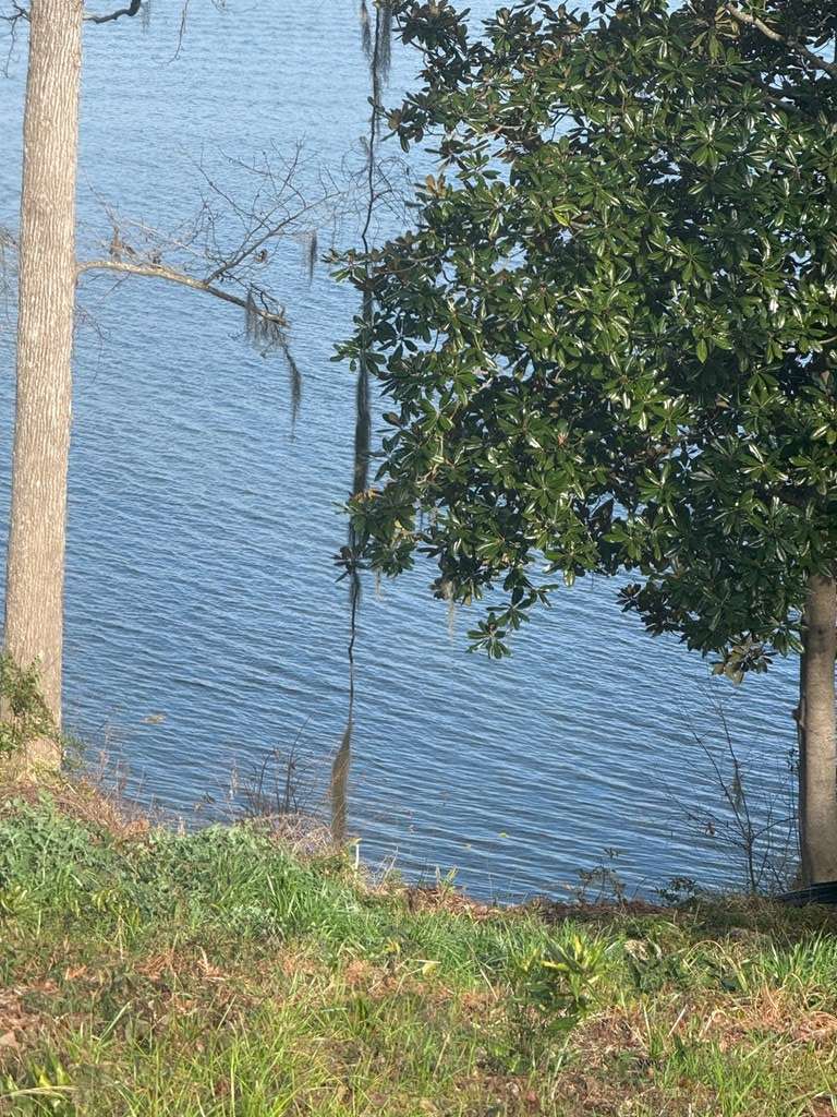 Abbeville, AL 36310,2123 Calhoun Dr