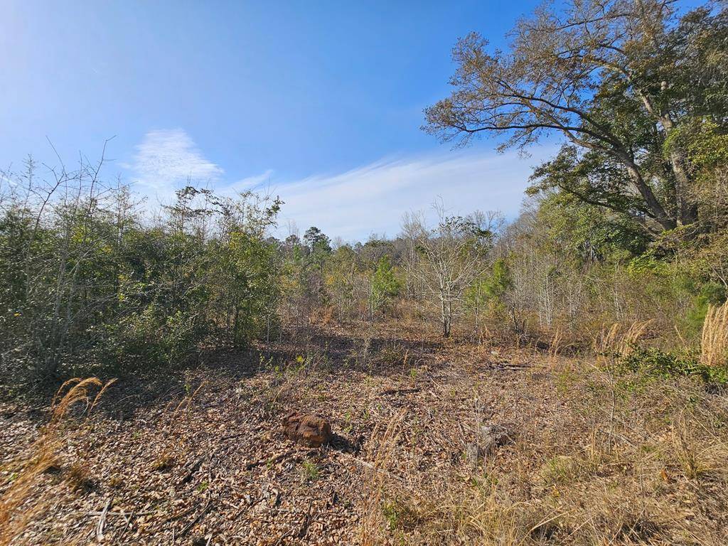 Slocomb, AL 36375,14.5 Acres Providence Road