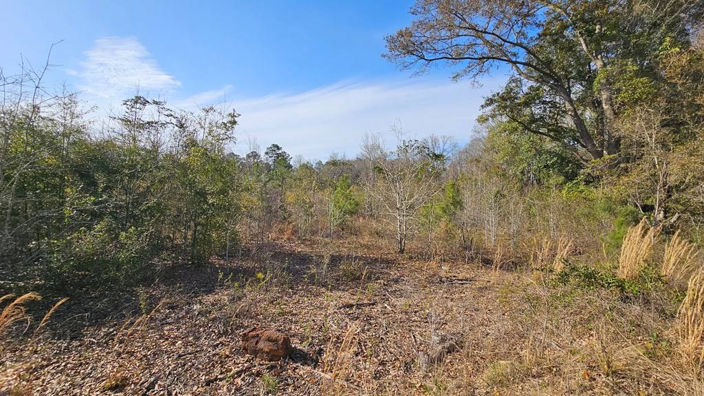 Slocomb, AL 36375,14.5 Acres Providence Road