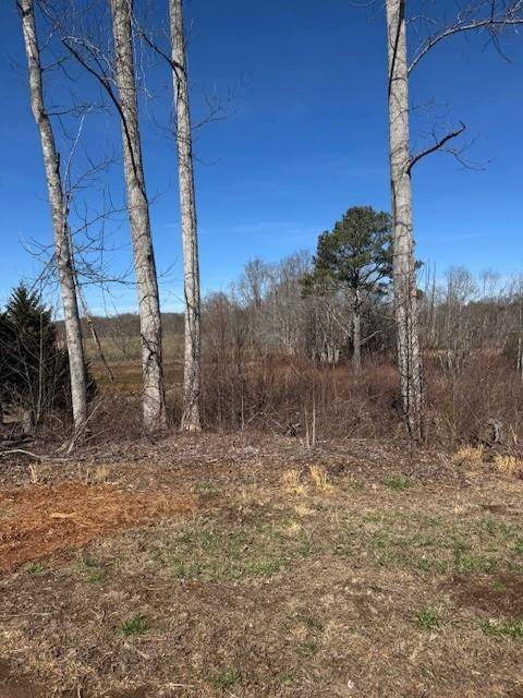 Hayesville, NC 28904,Lot 1&1A Sneaking Creek Drive