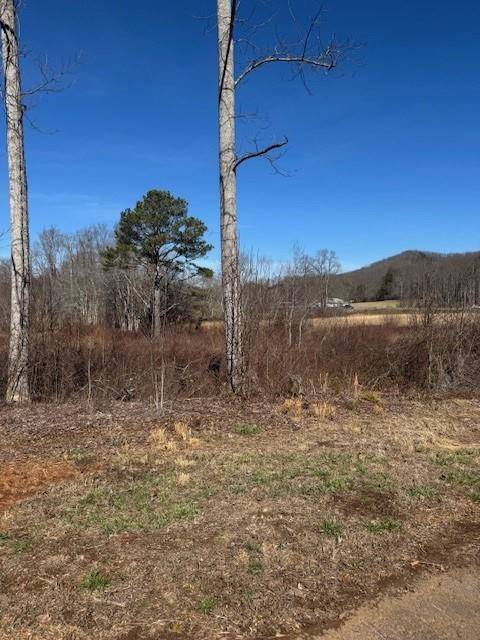 Hayesville, NC 28904,Lot 1&1A Sneaking Creek Drive