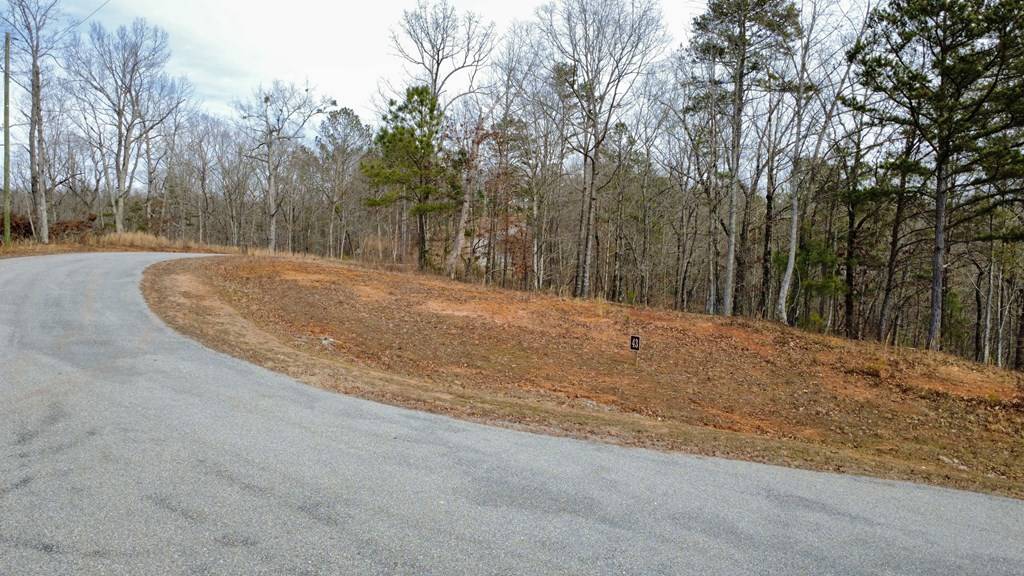 Talking Rock, GA 30175,Lot 43 Bucktail Way