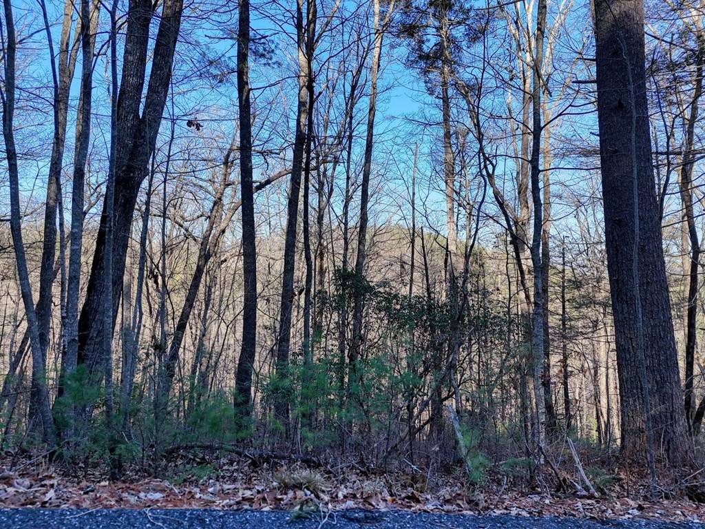 Blairsville, GA 30512,Lot 27 Highland Falls