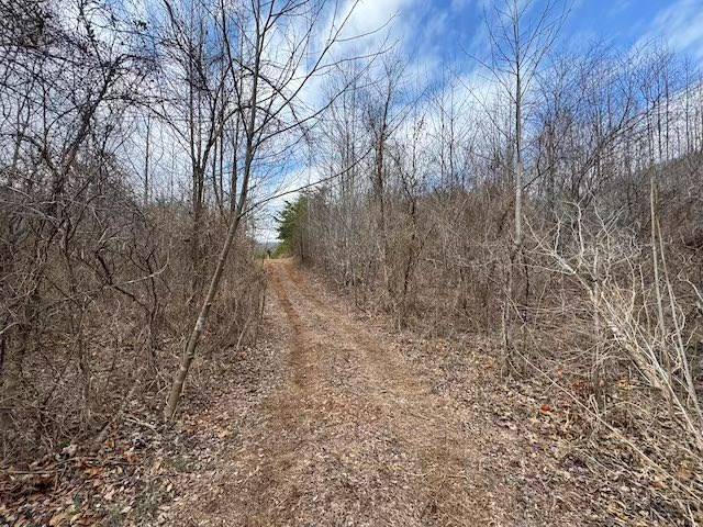 Woolwine, VA 24185,TBD Brammer Spur