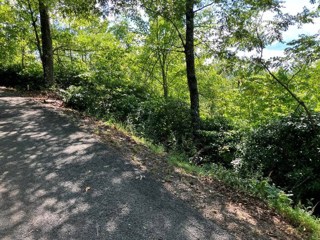 Murphy, NC 28906,Lot 11 Brasstown Heights