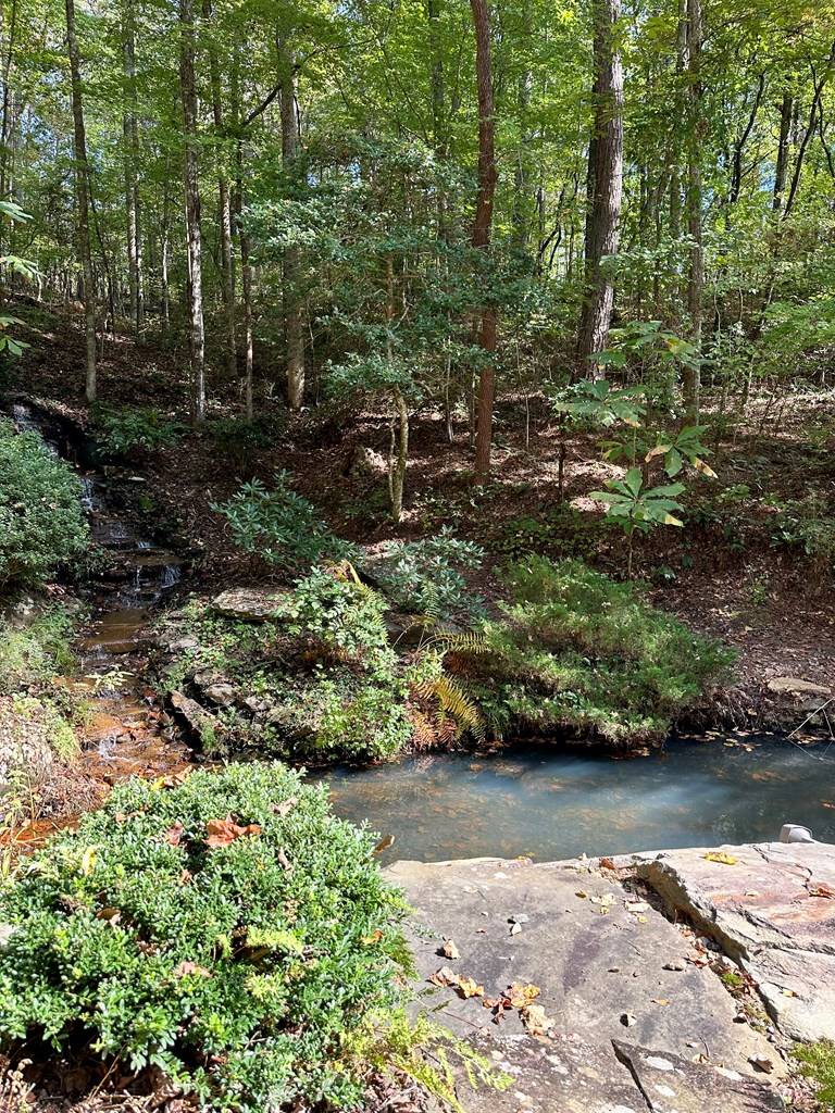 Talking Rock, GA 30175,Lot 27 Mountain Creek Hollow Drive