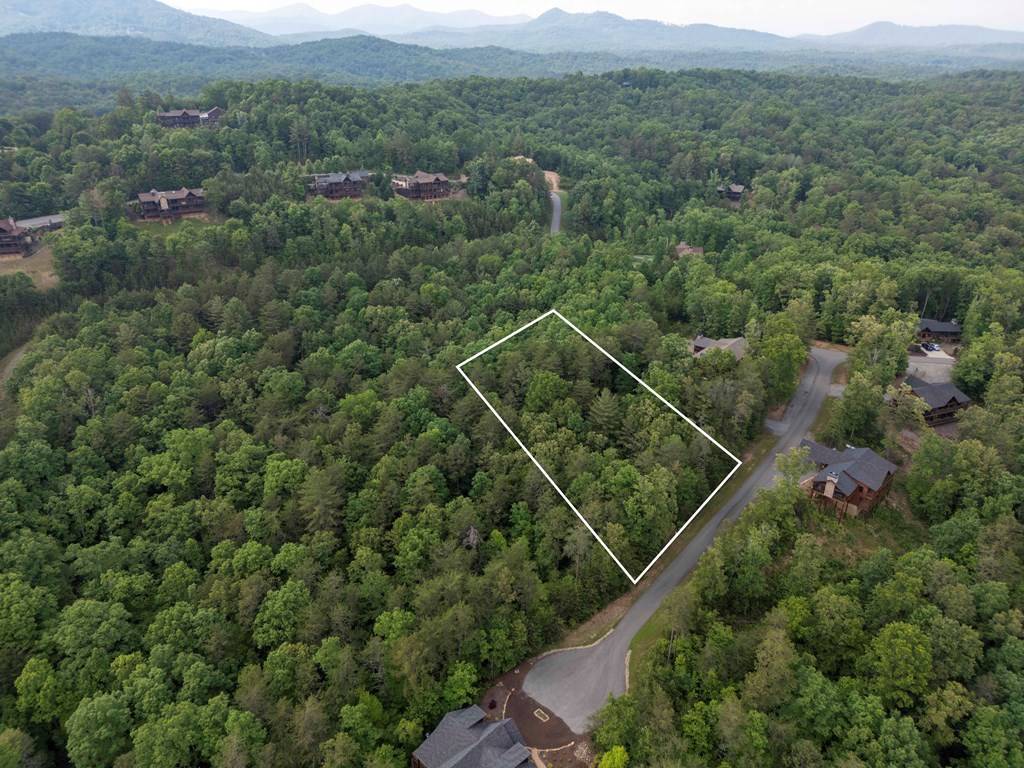 Mineral Bluff, GA 30559,36-37 Lenox Trace