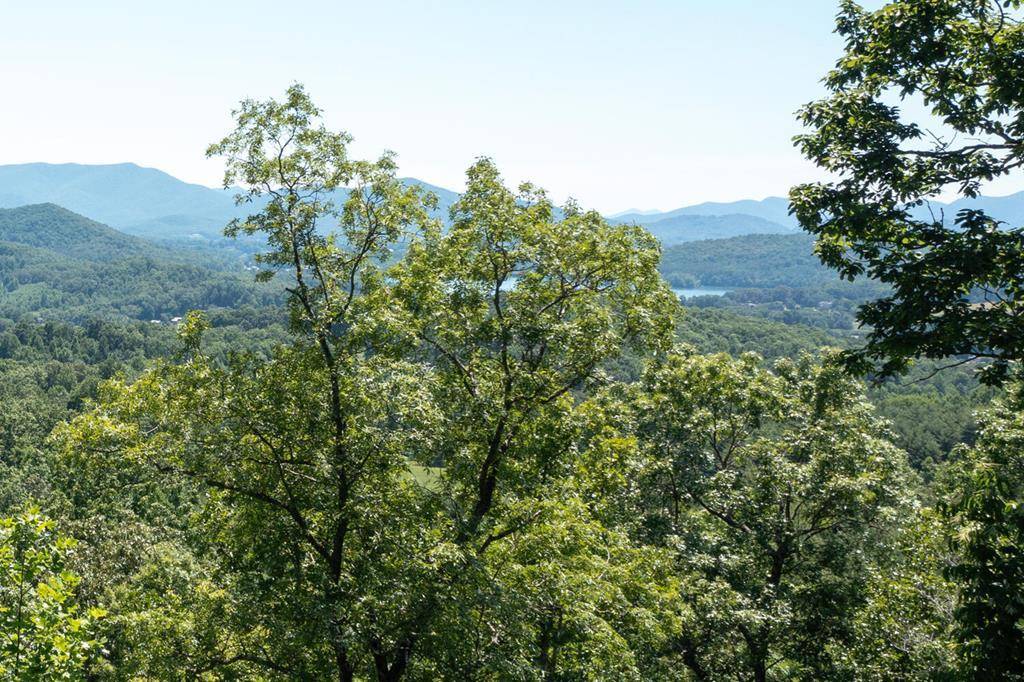 Hayesville, NC 28904,Lot 6 Hidden Forest Lane