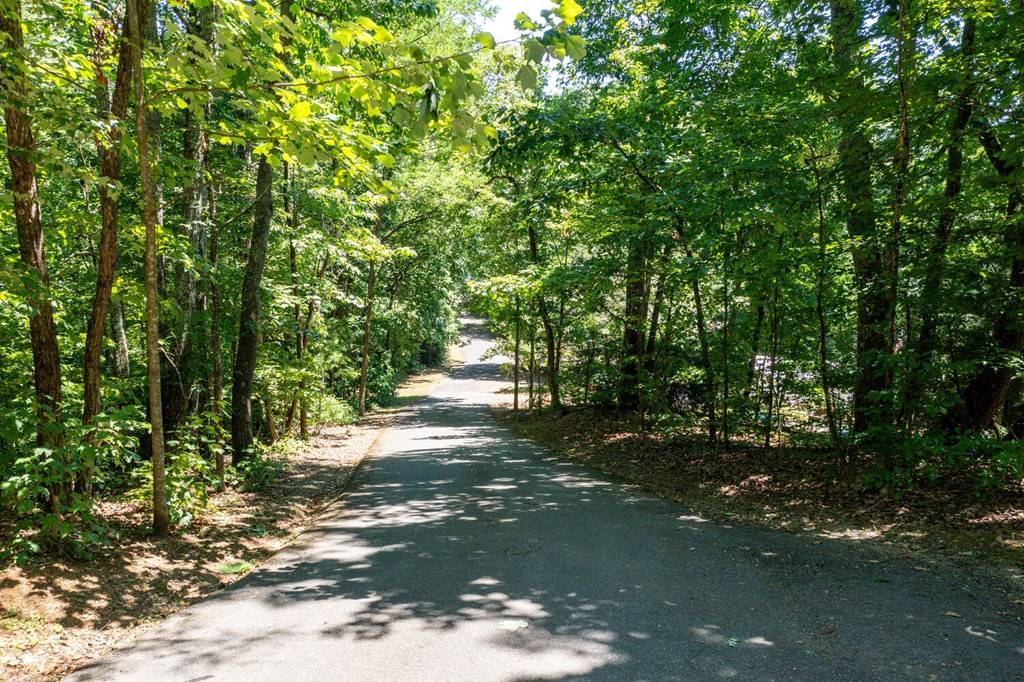 Hayesville, NC 28904,Lot 6 Hidden Forest Lane