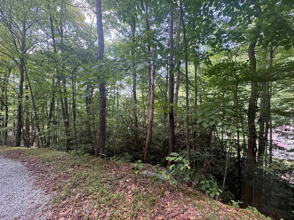 Rabun Gap, GA 30568,0 Favor Lane