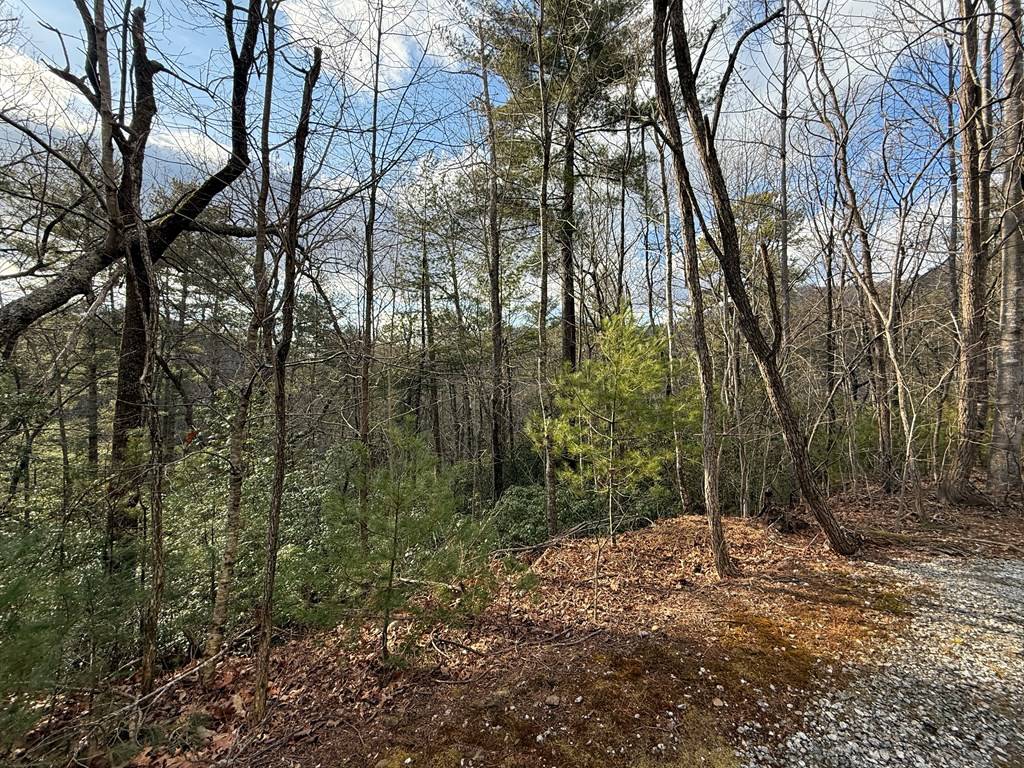 Clayton, GA 30525,Lot 103 Lancelot Loop