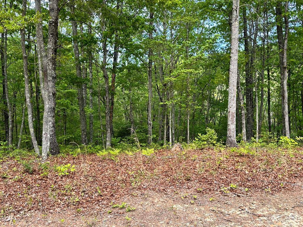 Hayesville, NC 28904,Lot 8 Settawig Overlook