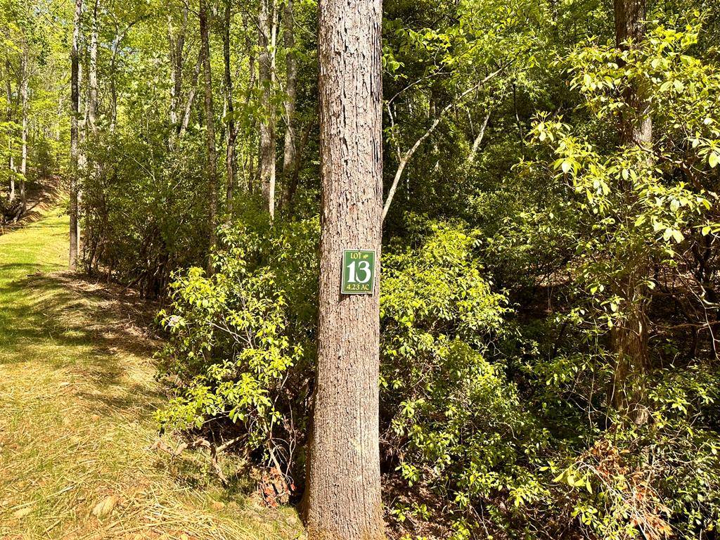 Hayesville, NC 28904,Lot 13 Settawig Overlook