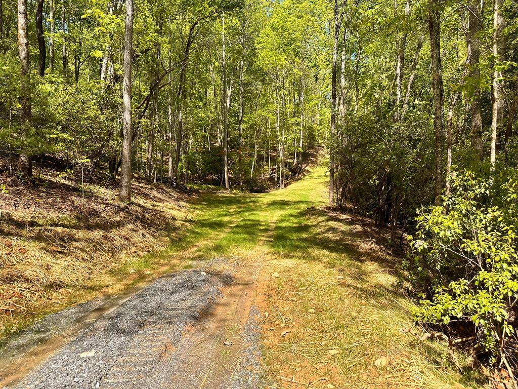 Hayesville, NC 28904,Lot 13 Settawig Overlook