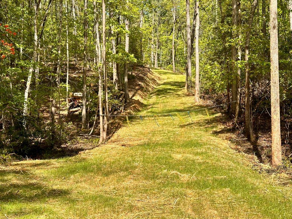 Hayesville, NC 28904,Lot 13 Settawig Overlook