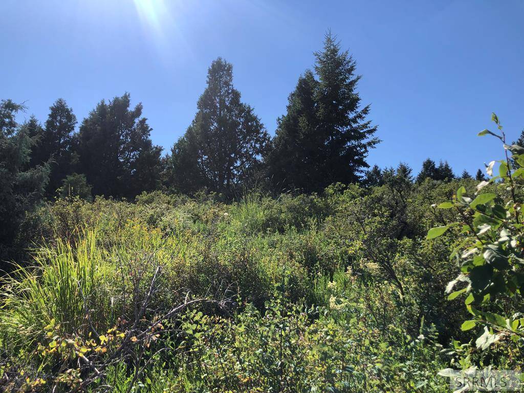 Lava Hot Springs, ID 83246,LOT 22B Deer Creek