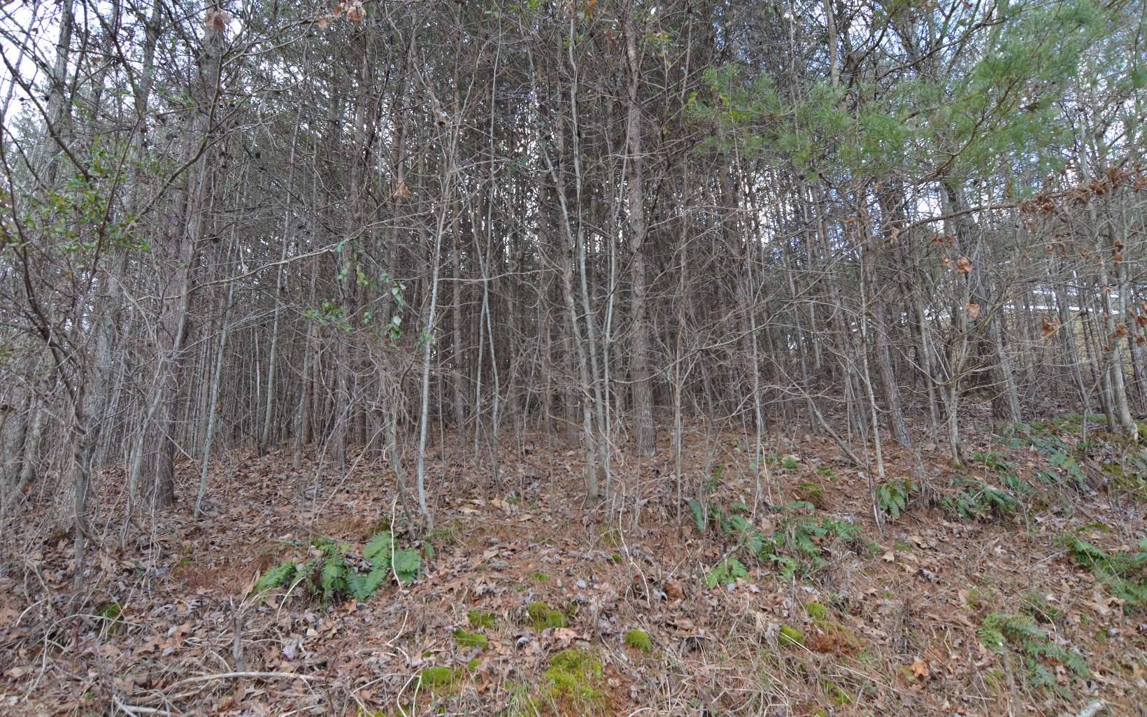 Hiawassee, GA 30546,LOT 4 Brer Fox Ridge