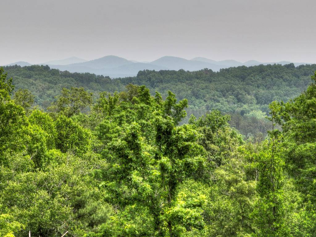 Blue Ridge, GA 30513,LOT 2 Hidden Acres