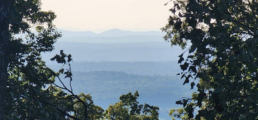Talking Rock, GA 30175,Lot 38 High Summit Drive