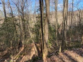 Blairsville, GA 30512,Lot 2 Hwy 129/19 S