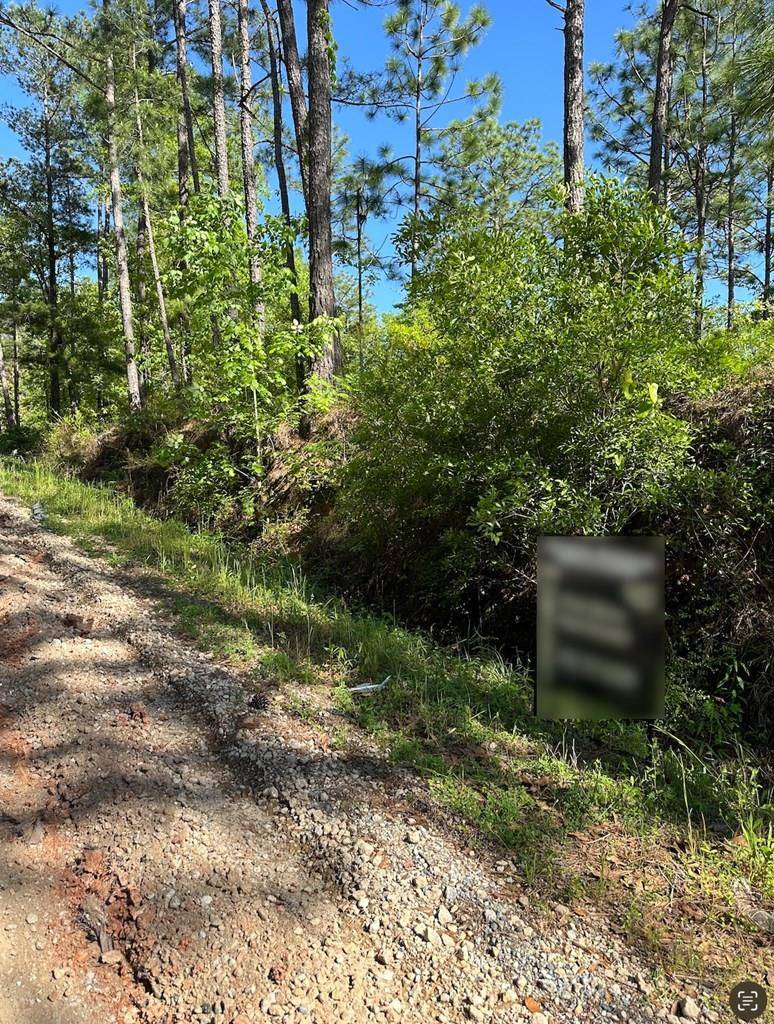 Bainbridge, GA 39819,00 DELL