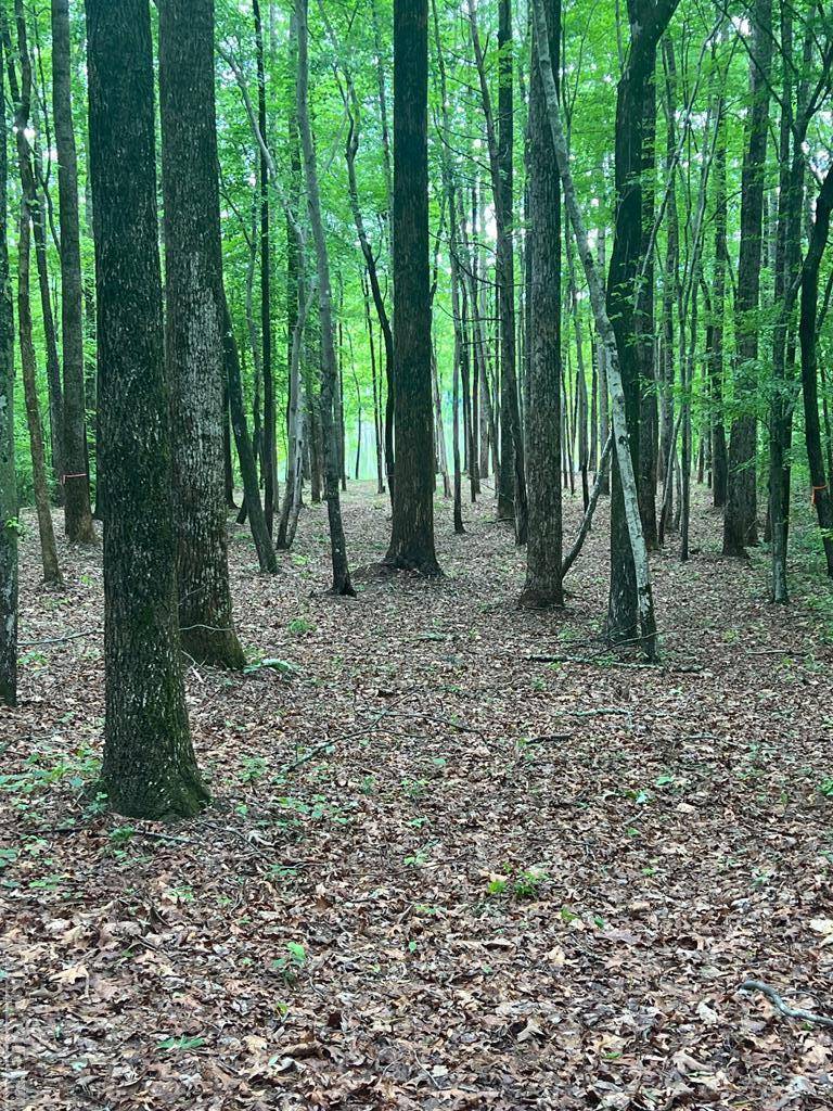 Boydton, VA 23917,000 Highway 58 (Lot 10)