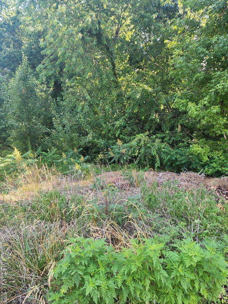 Roanoke Rapids, NC 27870,Lot 14 Stoney Brook Dr
