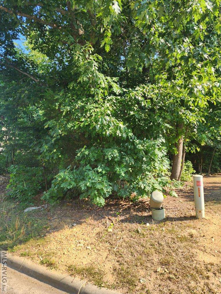 Roanoke Rapids, NC 27870,Lot 14 Stoney Brook Dr