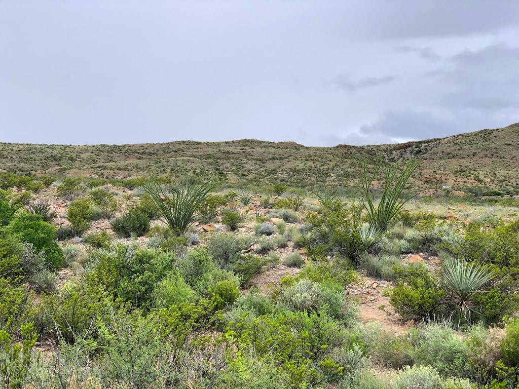 Terlingua, TX 79852,8151 Terlingua Ranch Rd