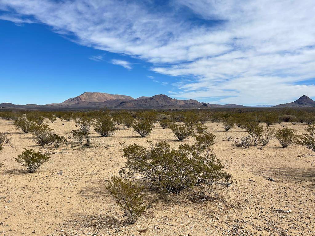 Terlingua, TX 79852,TR:604C LTM Rd