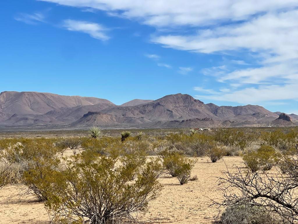 Terlingua, TX 79852,TR:604C LTM Rd