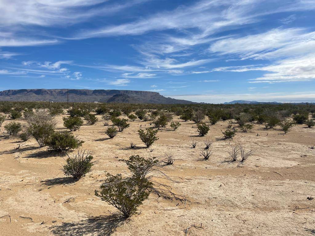 Terlingua, TX 79852,TR G194 Flat Tire Rd