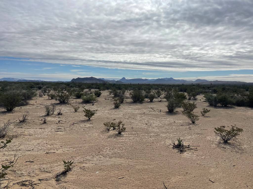 Terlingua, TX 79852,TR G194 Flat Tire Rd