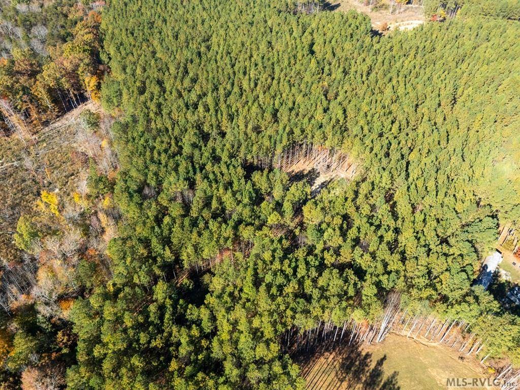 Meherrin, VA 23954,0 Meherrin Rd