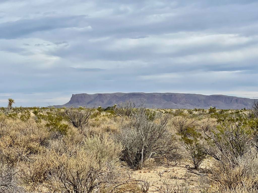 Terlingua, TX 79852,TR:G 631 McIntyre