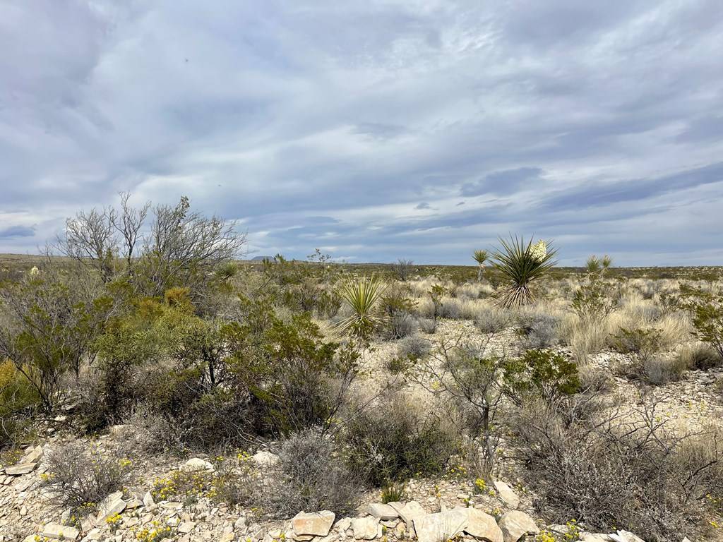 Terlingua, TX 79852,TR:G 631 McIntyre