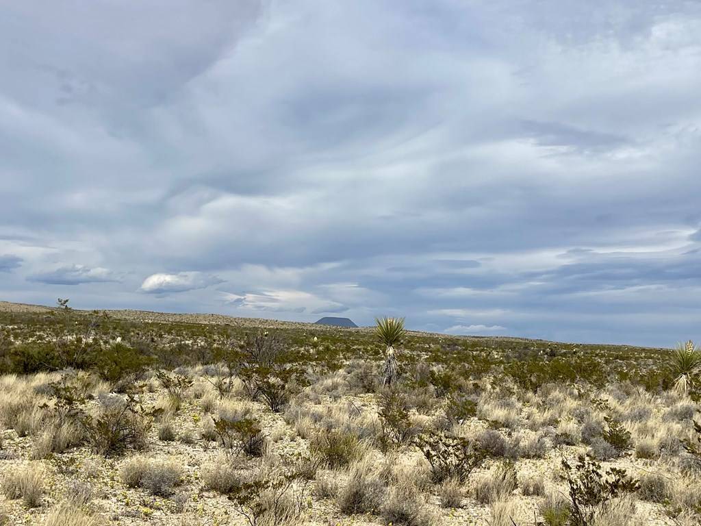 Terlingua, TX 79852,TR:G 631 McIntyre