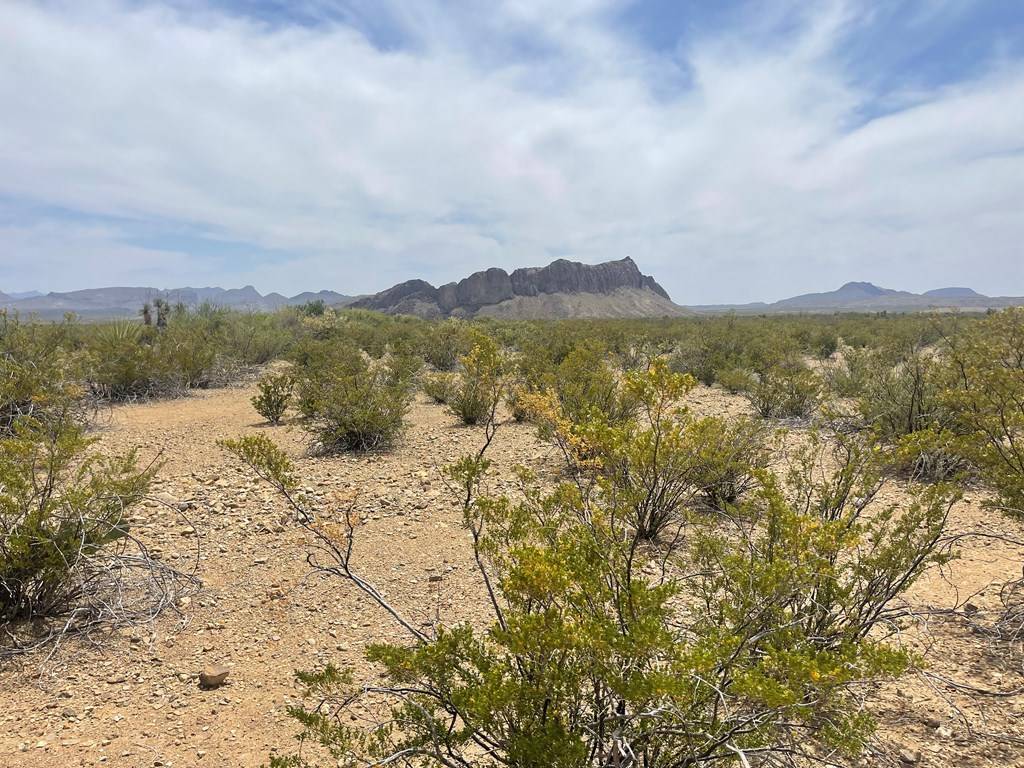 Terlingua, TX 79852,G751 Private Rd