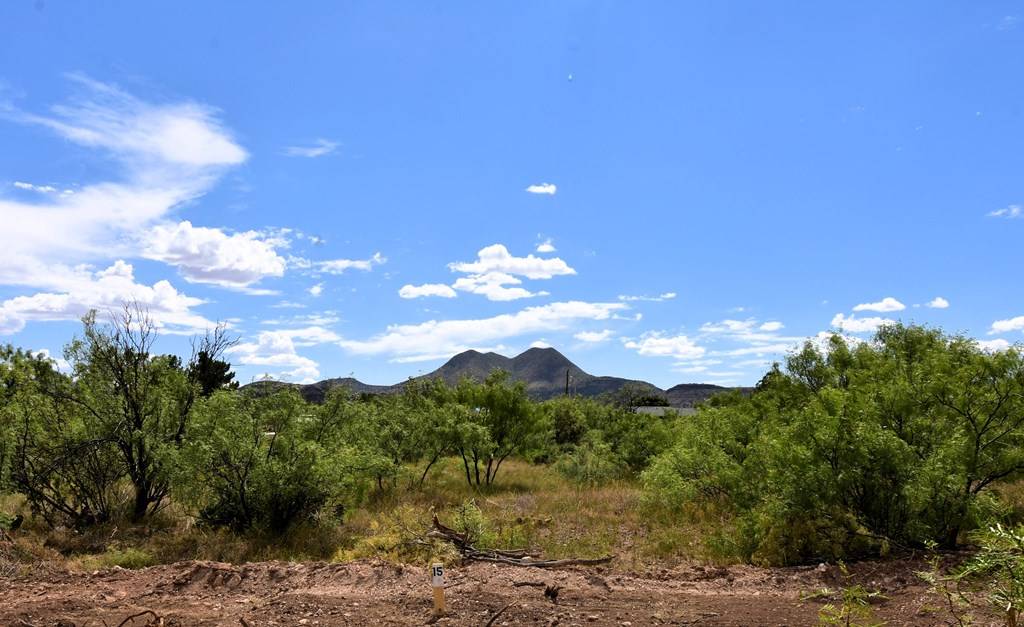 Alpine, TX 79830,411 Sagebrush RD