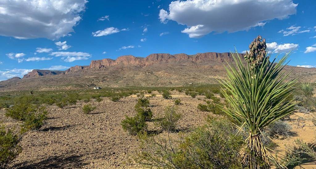 Terlingua, TX 79852,500 Virgil Clark Rd