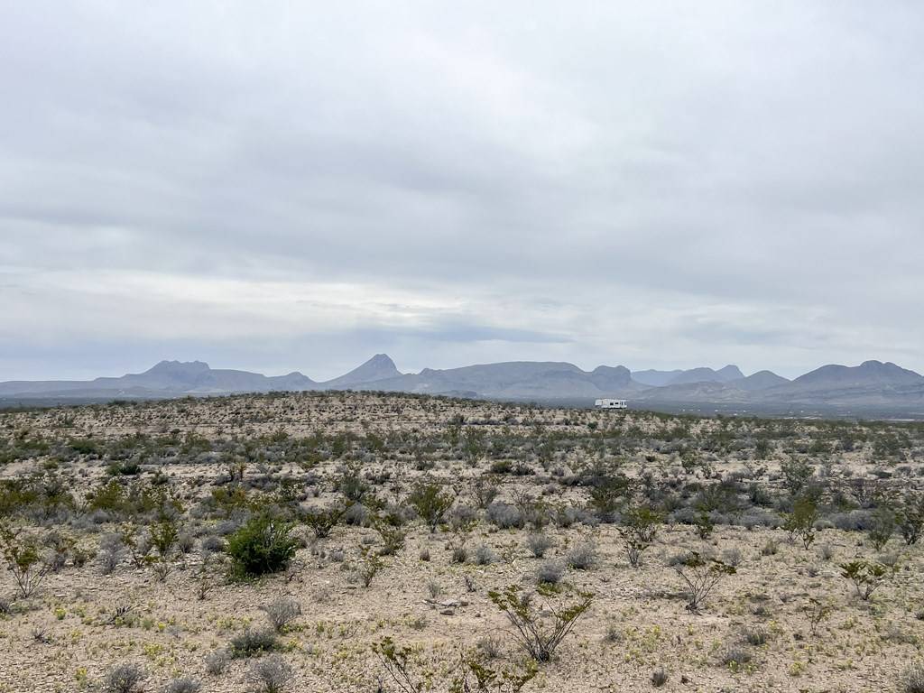 Terlingua, TX 79852,TR NC556 E Helt Dr