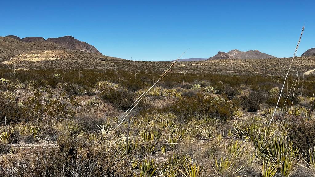 Terlingua, TX 79852,24423 Fellers RD