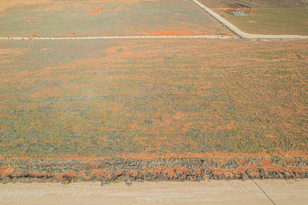 Seminole, TX 79360,TBD Private Rd 320K