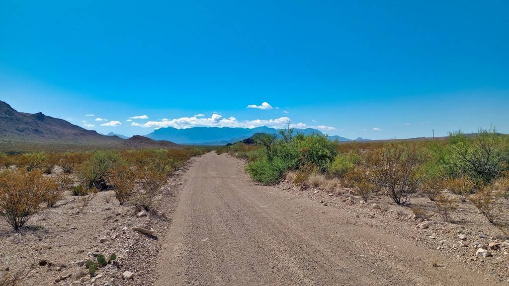 Terlingua, TX 79852,20600 Jackass Rd