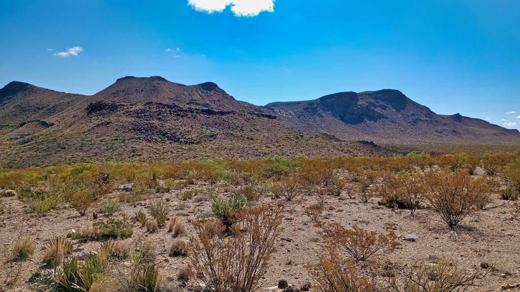 Terlingua, TX 79852,20600 Jackass Rd