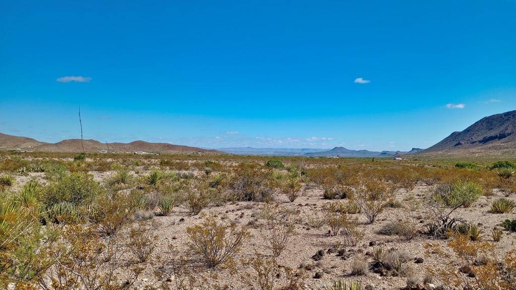 Terlingua, TX 79852,20600 Jackass Rd