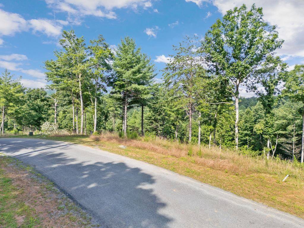 Morganton, GA 30560,122 Ridge Drive