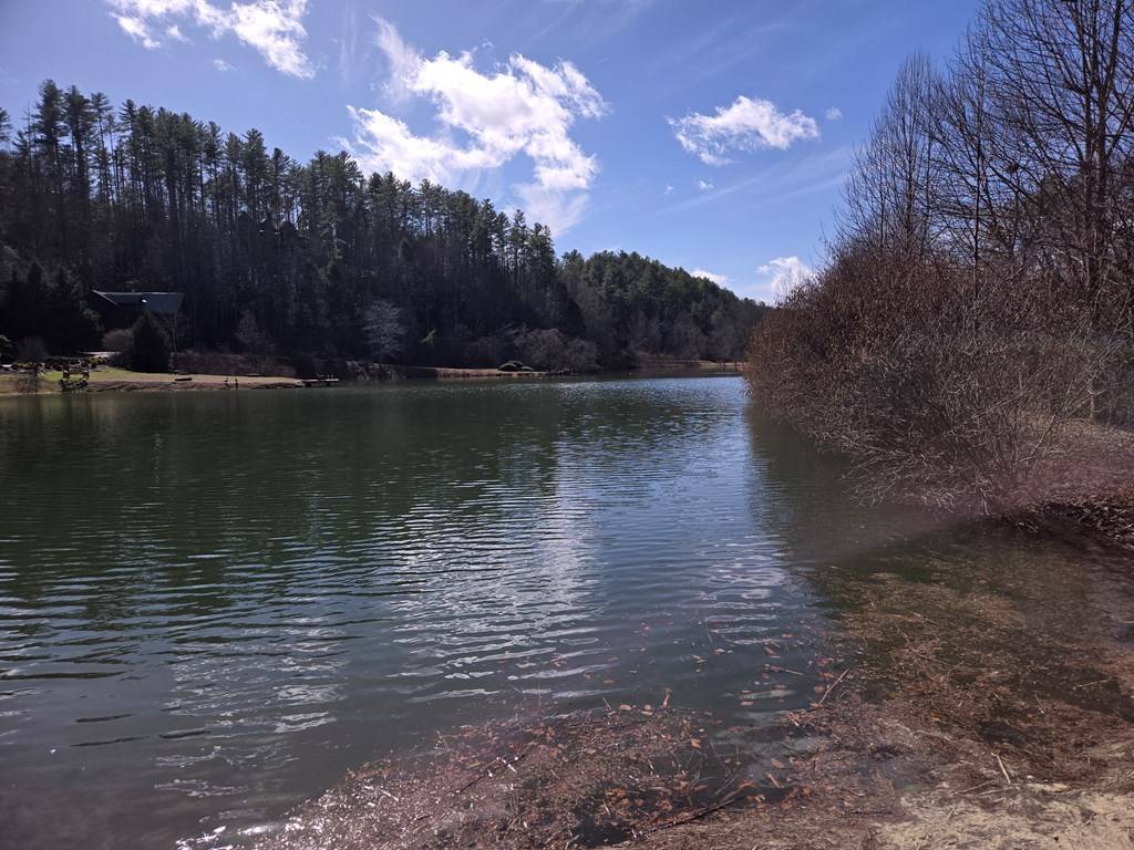 Mineral Bluff, GA 30559,Lot 78 Natures Courtyard