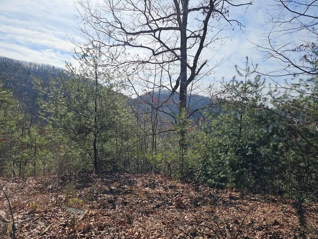 Murphy, NC 28906,51 Kudzu Creek Trail