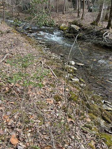 Hayesville, NC 28904,7 Compass Creek Drive